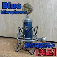 初代】旧型Bluebird コンデンサーマイク - メルカリ