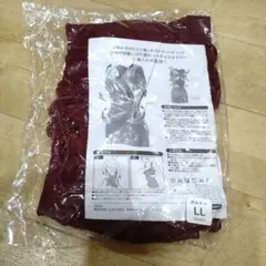 Item thumbnail for item b516daa7-8012-49b5-bb82-f31aa35f03e6