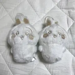 【２個セット】 ちいかわ ぬいぱれっと うさぎ