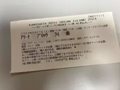 KAMIGATA BOYZ DREAM IsLAND 2024 半券1枚