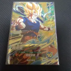 SDV5-047　孫悟空