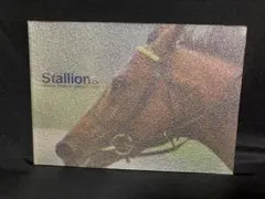 Shadai Stallion 2004 （2025年卓上カレンダー付き）