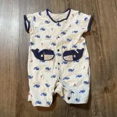 Item thumbnail for item f9ebdefa-6667-4496-9685-4627c2e09cd0