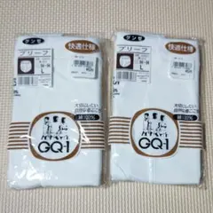 未使用 グンゼ メンズ ブリーフ Lサイズ 2枚セット