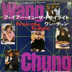 WANG CHUNG ワンチャン　ファイアーインザトワイライト　シングルレコード