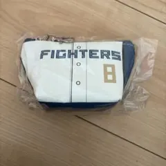 Item thumbnail for item 4fd1b495-b517-48ef-befb-950bc79e3207