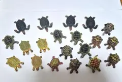 カメ フィギュア 20体セット ミニチュア