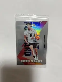 YAMAUCHI AKIHIRO
