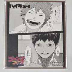 2025年最新】ジャンプフェア アニメイト ハイキューの人気