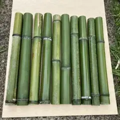 青竹　長さ50㎝10本　直径4㎝〜5.5㎝　竹細工　竹材料　加工　工作