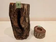 クワリウム天然木樹洞 昆虫シェルター 止まり木 餌皿穴付き - メルカリ
