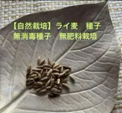 とーこん様 リクエスト 4点 まとめ商品