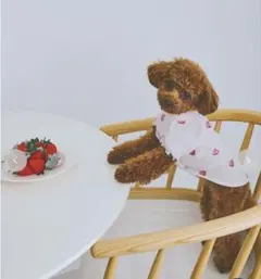 ジェラートピケ　フルーツ柄ワッフルカットソープルオーバー　新作