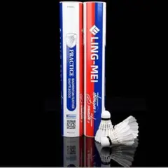 Item thumbnail for item bd712281-37f8-4244-9495-69617f0d0b28