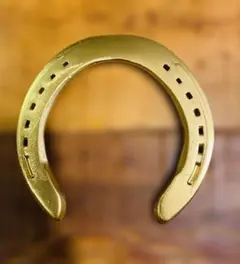 【幸運の金の蹄鉄】