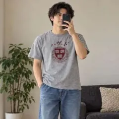 U513 Lサイズ チャンピオン メイドインUSA T1011 Ｔシャツ