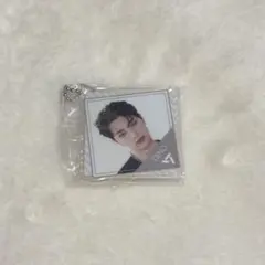 seventeen アクリルチャーム　ガシャポン　ディノ