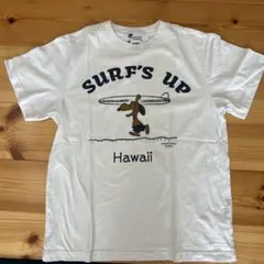 Item thumbnail for item 467350dc-7557-48b8-aba4-8f6f92ace2e7