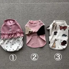 Item thumbnail for item 64bff537-f774-4801-9c8f-6de689b95fa6