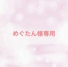 めぐたん様専用