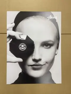 Stussyカールラガーフェルド 追悼記念ポスター　非売品 Stussy カールラガーフェルド 追悼記念ポスター 非売品 シャネル