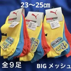 Item thumbnail for item 0b1c909c-02b6-487f-97ff-ddb4a9351b2b