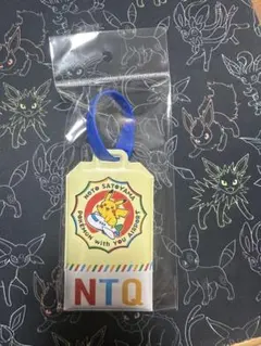 日本ハムファイターズポケモンコラボ ワッペン 達孝太 新品未開封 ファイターズ ポケモン ベースボールシャツ用ワッペン 達孝太選手