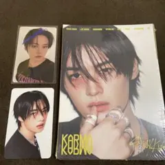 Stray Kids KARMA ACCORDION SKZOO トレカ リノ