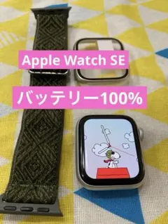 Apple Watch SE 最大容量100%