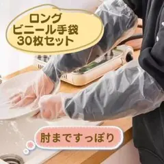 Item thumbnail for item 7f58cb9c-40fb-482a-bb34-9cb650dd22e4