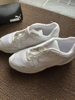 Item thumbnail for item 6210f244-6803-4206-8caa-92eeb737d640