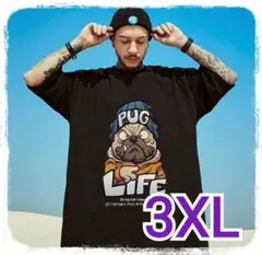 Item thumbnail for item d68a928a-cecd-4da2-b643-ce3298e9d55b