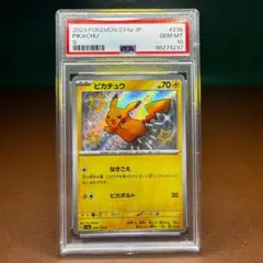 PSA10 ピカチュウ　可愛い