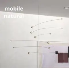 Item thumbnail for item 73f8e680-b7ab-4be2-92f1-236075503840