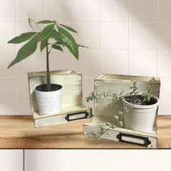 アンティーク調 ネームプレート付き　木製植物スタンド　木工品木箱　マルチボックスのサムネイル