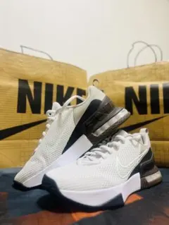 Nike Air Max スニーカー ホワイト/ブラック