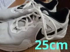 NIKE スニーカー CQ9356-002 25cm ランニング ウォーキングのサムネイル