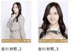 Item thumbnail for item 73ef58ba-739b-4cf5-9a6d-984f19402e14