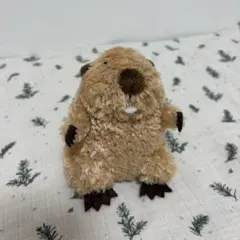 モンスイユ　ビーバー　ぬいぐるみのサムネイル