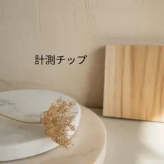 計測用　ネイルチップ　ショートオーバル