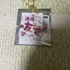 魔法使いの約束 まほやく クロエ　名言アクリルキーホルダー