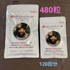 2025年最新】ターミナリアファースト360粒の人気アイテム - メルカリ