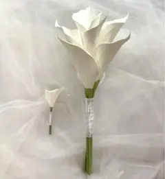 Item thumbnail for item 8b32d7b8-a973-4f7a-a875-39c31c35e2cd