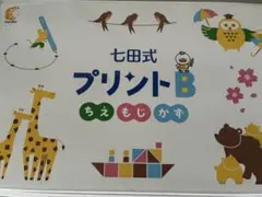 美品 未記入 しちだ式　七田式プリントB