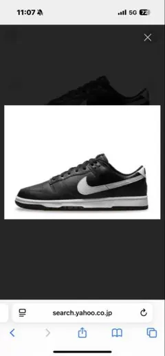 Nike Dunk Low 27センチブラック/ホワイト　パンダ