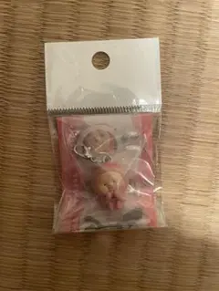 こびとづかん めじるしフレンズ2 カクレモモジリ　シークレット