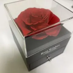 アクセサリーケース 未使用品