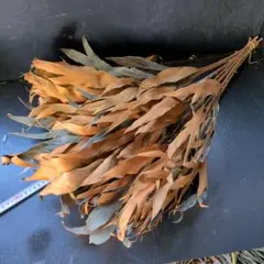 Item thumbnail for item 0a8235a5-f32f-49b9-a5d9-434e12e2b226