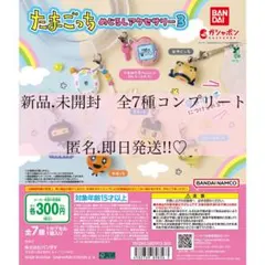 最安値 たまごっち めじるしアクセサリー3 コンプリート