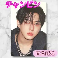 StrayKids スキズ KARMA カルマ SKZOOトレカ チャンビン